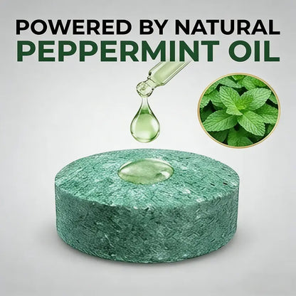 Stop Rodents & Pests Naturally – Long-Lasting, Eco-Friendly Repellent Balls 🚫🐀