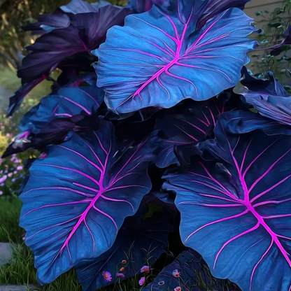 🌿 Rare Hosta Flower Bulbs🎁2026 Special Offer