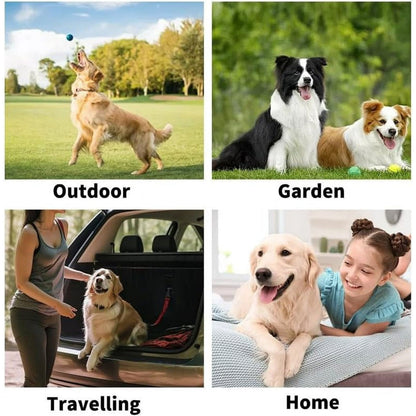 🔥Last Day Sale 49% OFF🐾Rinse-Free Dog Shampoo Mitts – Hypoallergenic Pet Bath Wipes