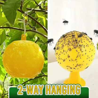 🦟Sticky balls fly catchers | Create a pest-free comfort zone✨
