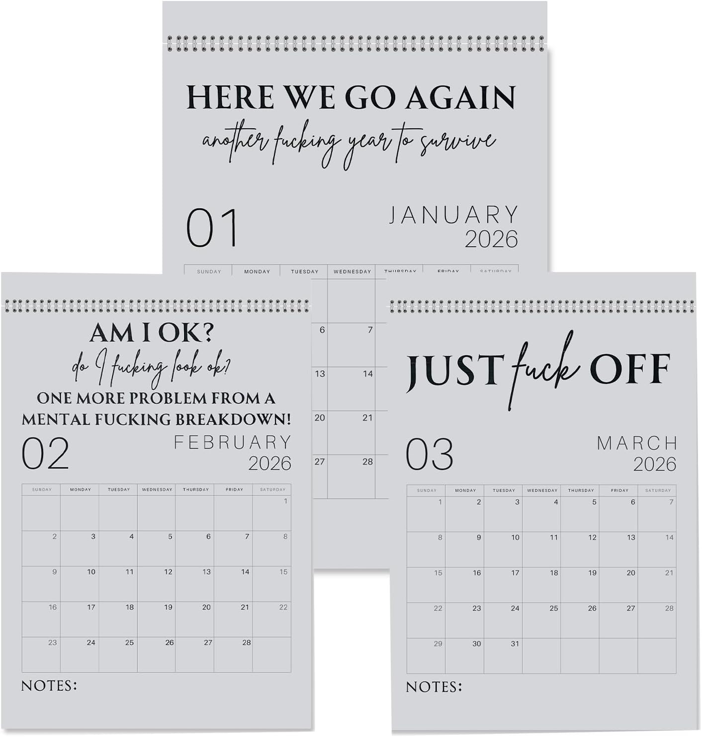 🌟Fuck It 2026 Spiral Bound Wall Calender – Practical & Full of Spirited Charm🌟