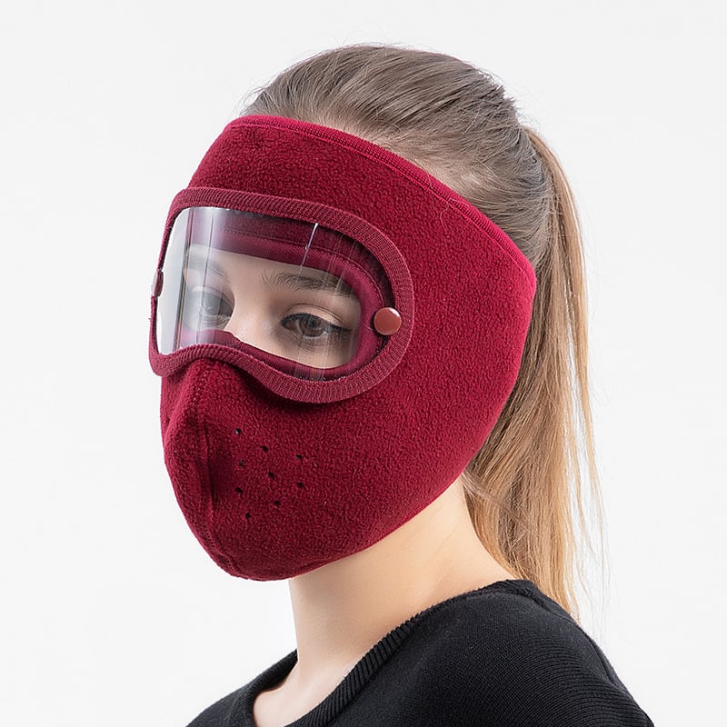 💥Black Friday Sale 50% OFF💝Winter warm fleece windproof high-definition goggles