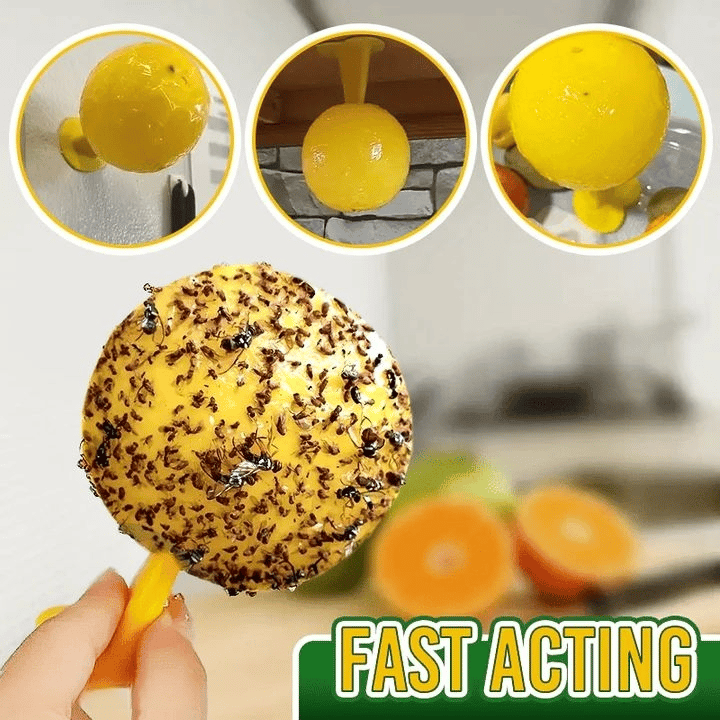 🦟Sticky balls fly catchers | Create a pest-free comfort zone✨