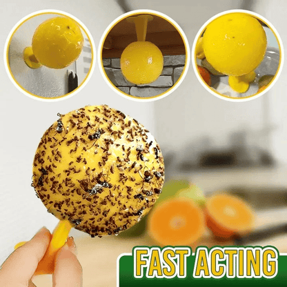 🦟Sticky balls fly catchers | Create a pest-free comfort zone✨