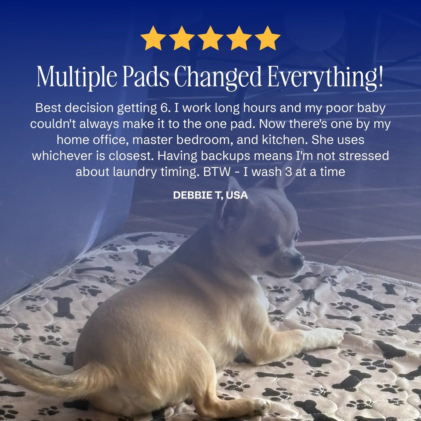 🔥Last Day 49% OFF-PuppyPad: stylish, super absorbent & reusable for a cleaner home.