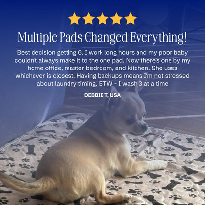 🔥Last Day 49% OFF-PuppyPad: stylish, super absorbent & reusable for a cleaner home.