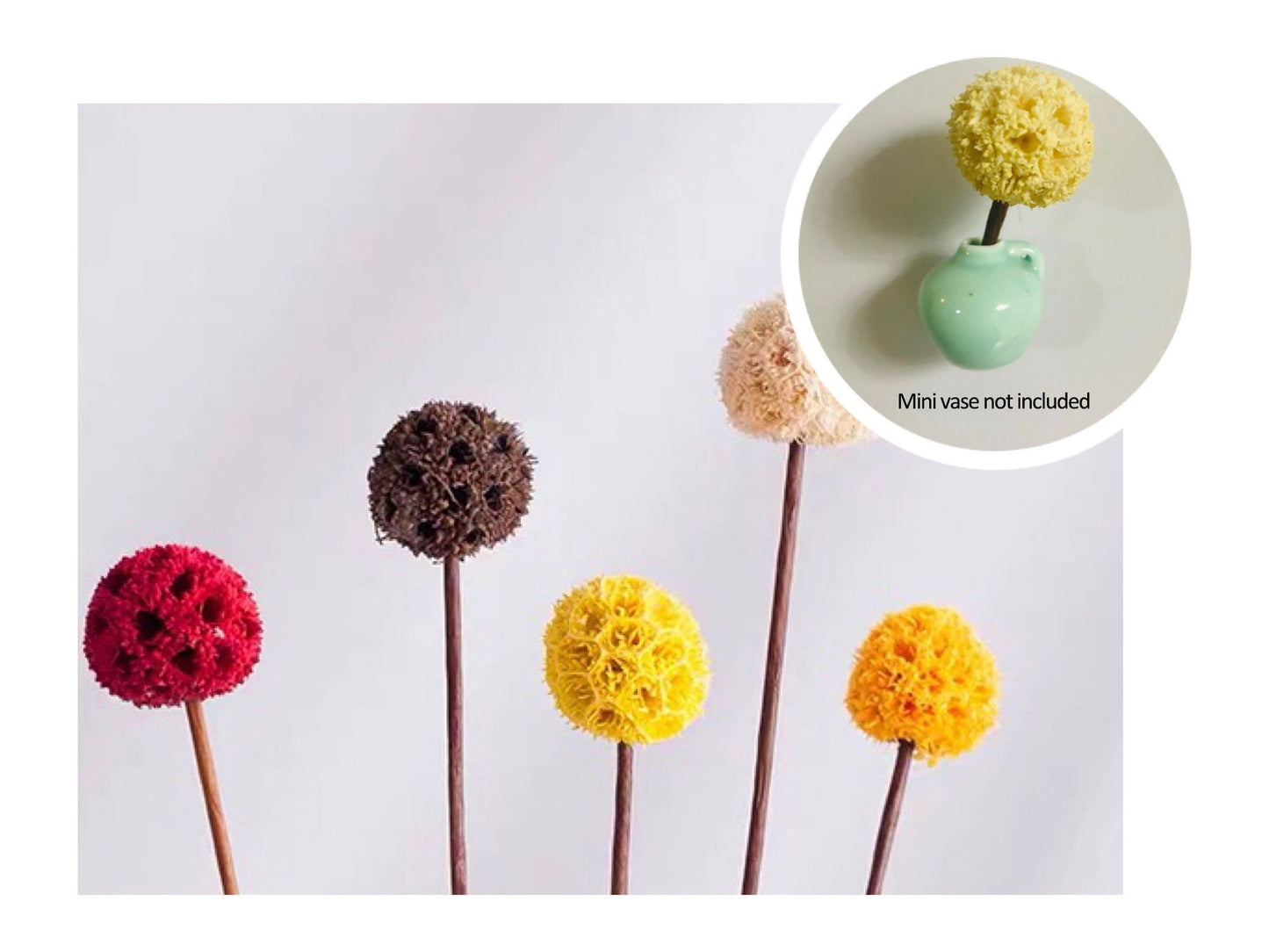 🎁Early Christmas 49% OFF🌸- Mini Ceramics Vase Fridge Magnet