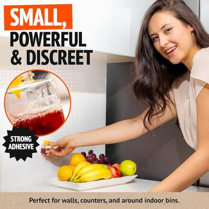 🏆Buy 2 Get 1 Free🌟Super Ninja Fruit Fly Traps- safe for children and pets