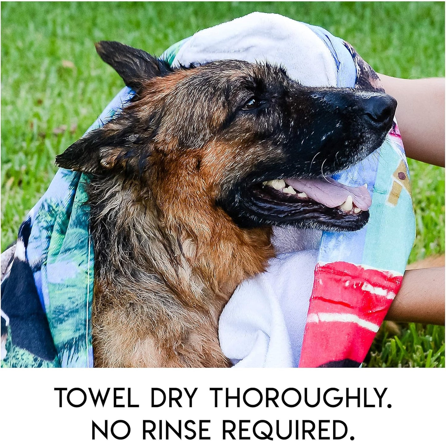 🔥Last Day Sale 49% OFF🐾Rinse-Free Dog Shampoo Mitts – Hypoallergenic Pet Bath Wipes