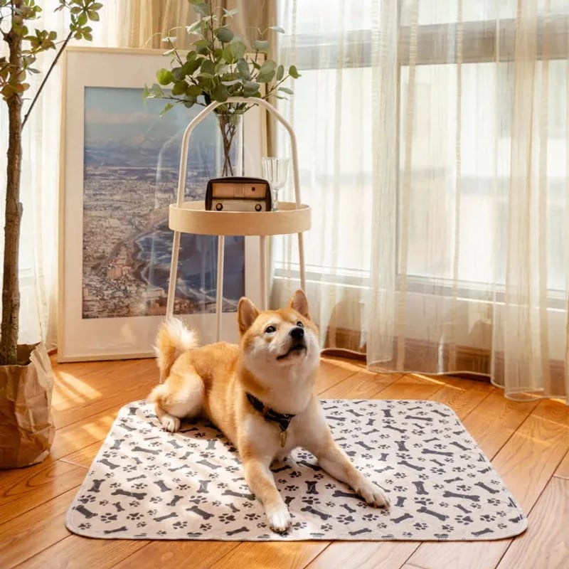 🔥Last Day 49% OFF-PuppyPad: stylish, super absorbent & reusable for a cleaner home.