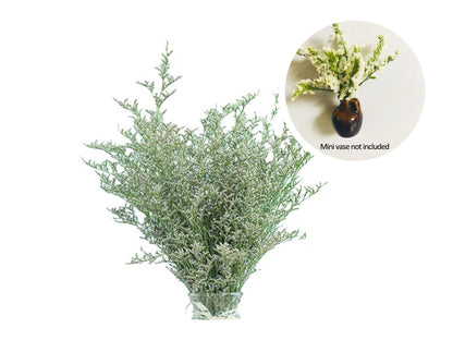 🎁Early Christmas 49% OFF🌸- Mini Ceramics Vase Fridge Magnet