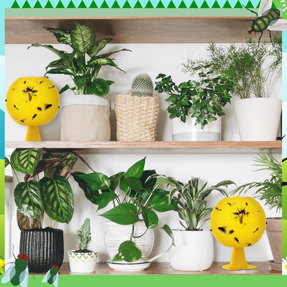 🦟Sticky balls fly catchers | Create a pest-free comfort zone✨