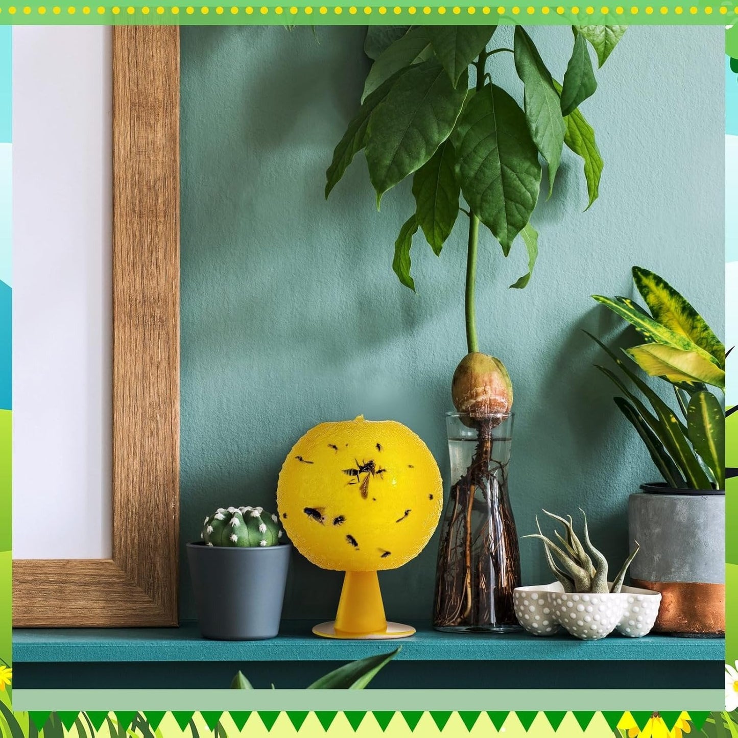 🦟Sticky balls fly catchers | Create a pest-free comfort zone✨