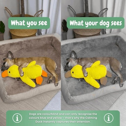 Quacking Crinkle Duck Comfort Calming Toy for Dog Separation Anxiety Proper Relief
