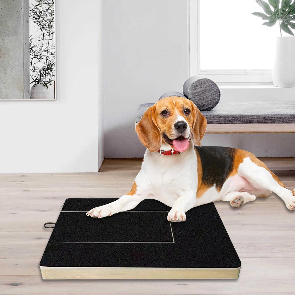 🔥Last Day 49% OFF🐕✨Treats And A Scratching Board: Happy Paws All In One