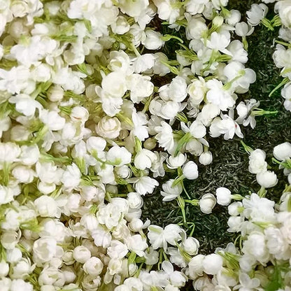 🏆Flash Sale⚡ 50K+ SOLD! Almost Gone-🌸 Jasmine Potted Plant