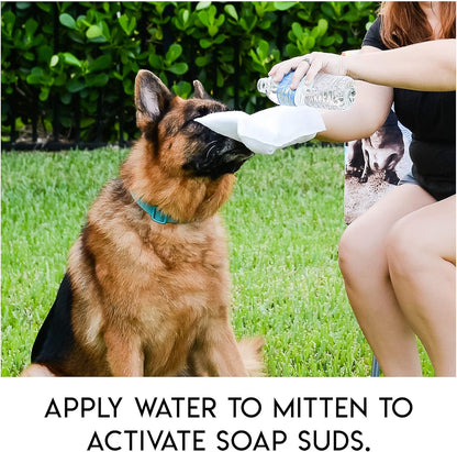 🔥Last Day Sale 49% OFF🐾Rinse-Free Dog Shampoo Mitts – Hypoallergenic Pet Bath Wipes