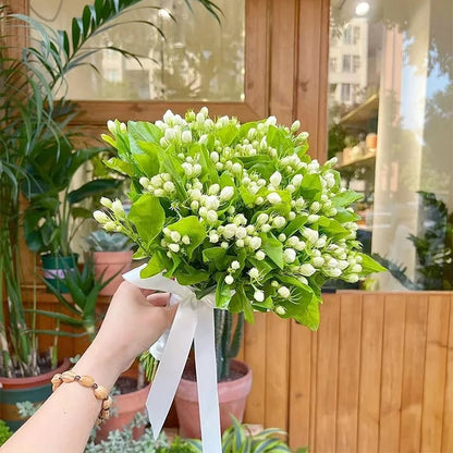 🏆Flash Sale⚡ 50K+ SOLD! Almost Gone-🌸 Jasmine Potted Plant