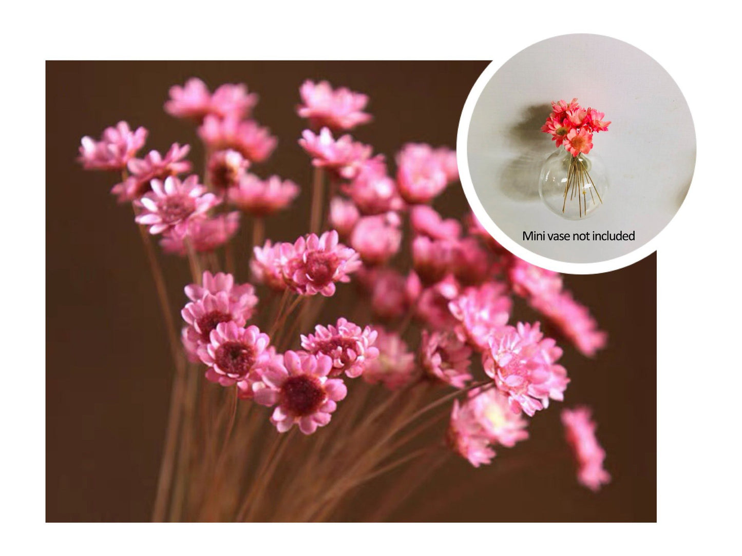 🎁Early Christmas 49% OFF🌸- Mini Ceramics Vase Fridge Magnet