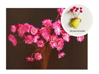🎁Early Christmas 49% OFF🌸- Mini Ceramics Vase Fridge Magnet