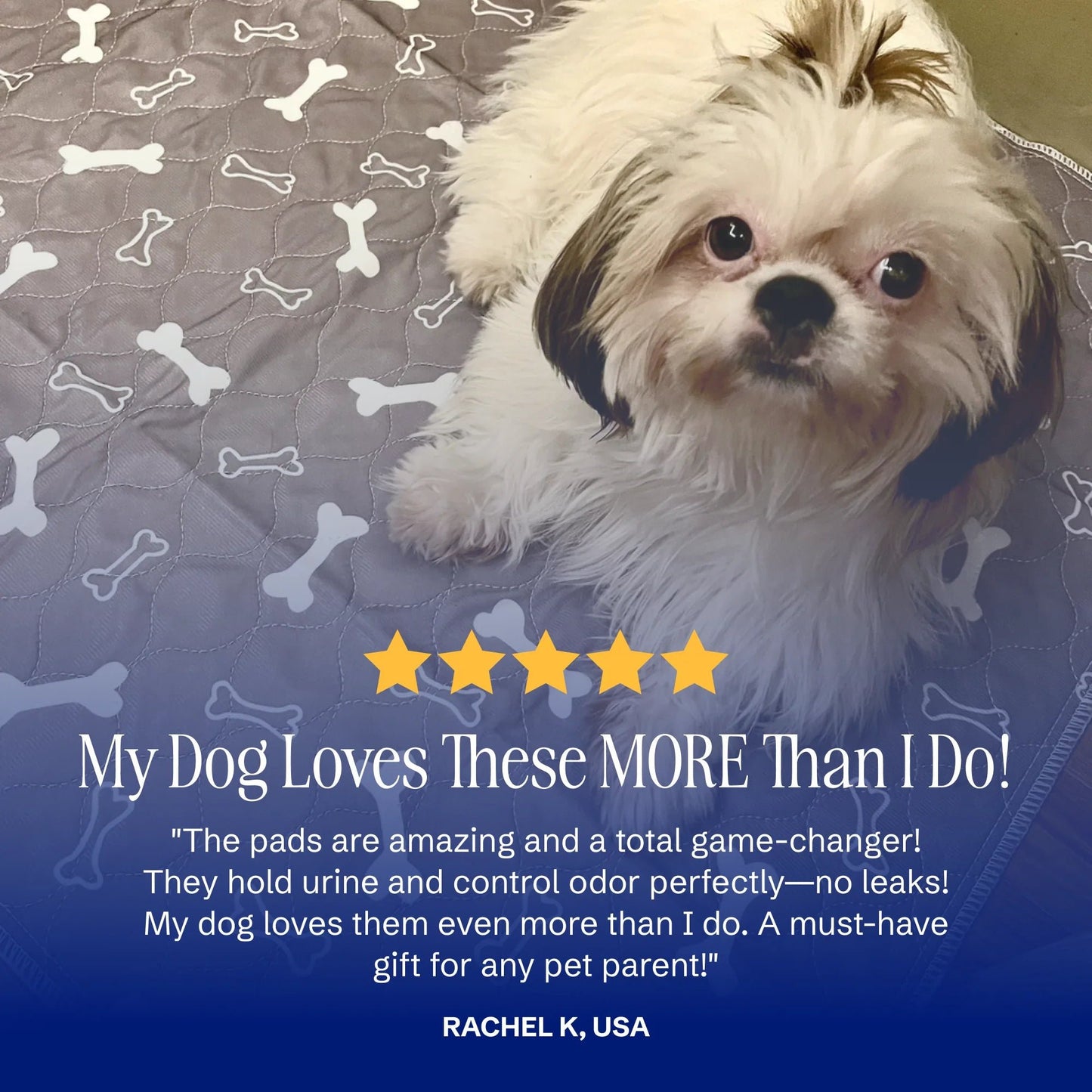 🔥Last Day 49% OFF-PuppyPad: stylish, super absorbent & reusable for a cleaner home.